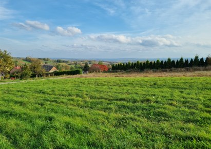 działka na sprzedaż - Świlcza, Trzciana